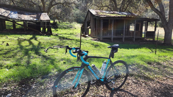 Los Gatos Creek