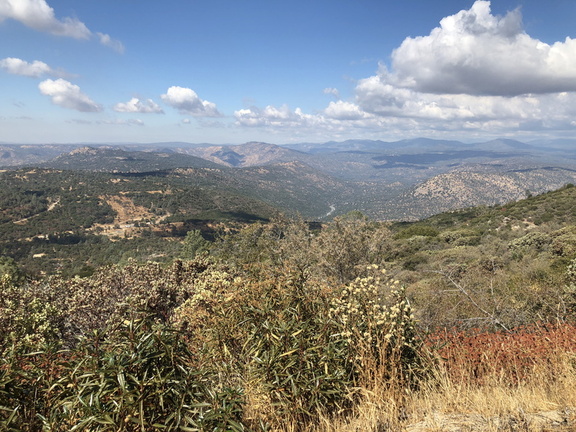 IMG 0562