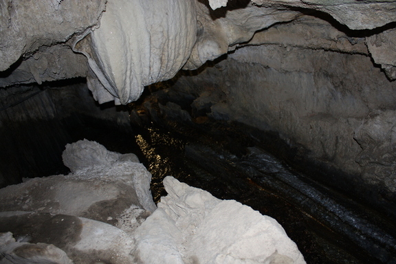 IMG 0038