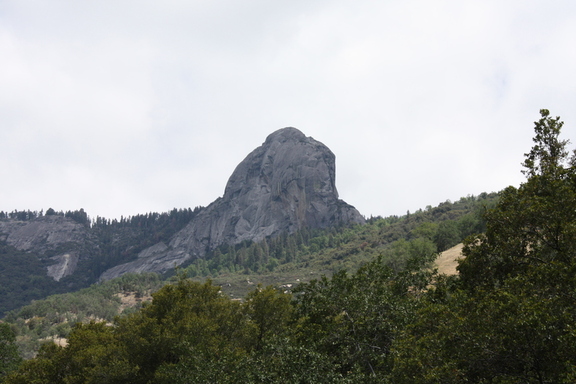 IMG 0002