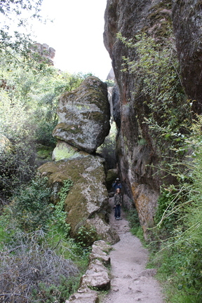 IMG 0159