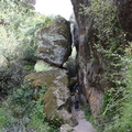 IMG 0159